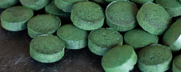 La spiruline