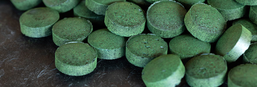 La spiruline